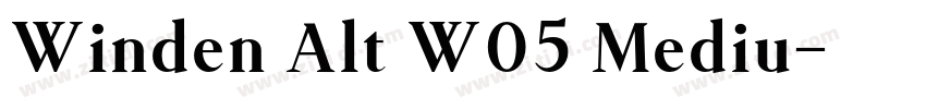Winden Alt W05 Mediu字体转换